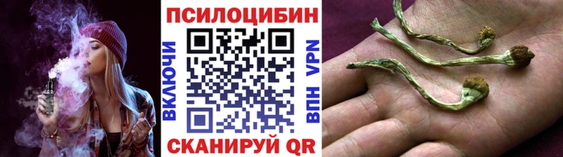 Галлюциногенные грибы мицелий  Малгобек 